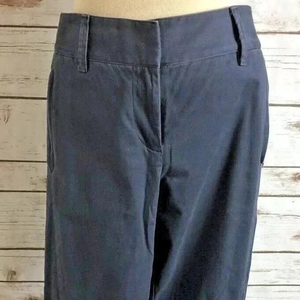 ANN TAYLOR LOFT Women Zip Up Modern Skinny Ankle Pockets Blue Pants Sz 8 Petite